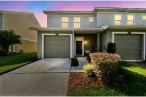 8209 Down Royal Rd, TAMPA