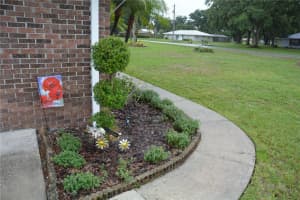 3437 OAKVIEW DRIVE, LAKELAND, FL 33811 - MLS#MFRTB8439351