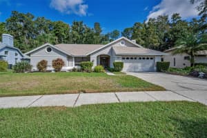 3351 JADEWOOD CIRCLE, TARPON SPRINGS, FL 34688 - MLS#MFRTB8439353