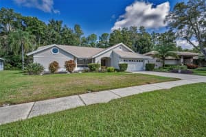 3351 JADEWOOD CIRCLE, TARPON SPRINGS, FL 34688 - MLS#MFRTB8439353