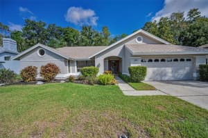 3351 JADEWOOD CIRCLE, TARPON SPRINGS, FL 34688 - MLS#MFRTB8439353