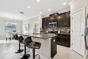 32135 GODDARD DRIVE, WESLEY CHAPEL, FL 33543 - MLS#MFRTB8439362