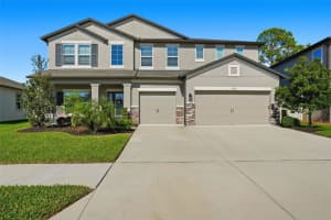 18313 PORFIRIO PLACE, SPRING HILL, FL 34610 - MLS#MFRTB8439388