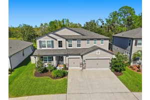 18313 PORFIRIO PLACE, SPRING HILL, FL 34610 - MLS#MFRTB8439388