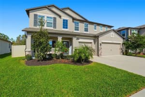 18313 PORFIRIO PLACE, SPRING HILL, FL 34610 - MLS#MFRTB8439388