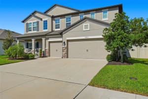 18313 PORFIRIO PLACE, SPRING HILL, FL 34610 - MLS#MFRTB8439388