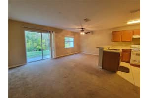 4307 WINDING RIVER WAY, LAND O LAKES, FL 34639 - MLS#MFRTB8439445