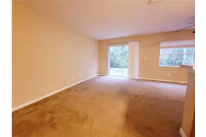 4307 WINDING RIVER WAY, LAND O LAKES, FL 34639 - MLS#MFRTB8439445