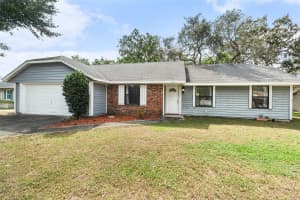 1439 BERN LANE, SPRING HILL, FL 34608 - MLS#MFRTB8439448