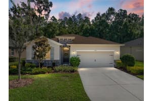 12717 Eastpointe Dr, DADE CITY