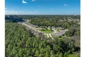 12717 EASTPOINTE DRIVE, DADE CITY, FL 33525 - MLS#MFRTB8439452