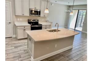 30255 SOUTHWELL LANE, WESLEY CHAPEL, FL 33543 - MLS#MFRTB8439489