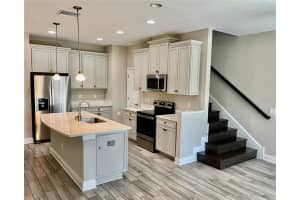 30255 SOUTHWELL LANE, WESLEY CHAPEL, FL 33543 - MLS#MFRTB8439489