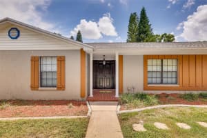 920 LAKEVIEW DRIVE, WIMAUMA, FL 33598 - MLS#MFRTB8439507