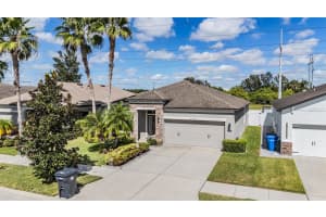 4708 WOODS LANDING LANE, TAMPA, FL 33619 - MLS#MFRTB8439561
