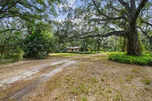 12944 LINCOLN ROAD, RIVERVIEW, FL 33578 - MLS#MFRTB8439562