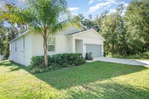 31612 ELKRIDGE DRIVE, SORRENTO, FL 32776 - MLS#MFRTB8439581