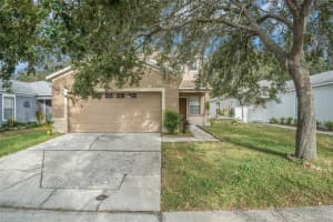10438 Blackmore Dr, TAMPA 10438 Blackmore Dr, TAMPA