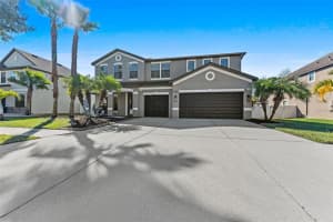 11807 Harpswell Dr, RIVERVIEW 11807 Harpswell Dr, RIVERVIEW