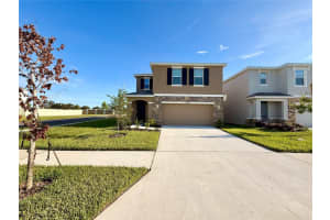 33142 OSPREY PEAK WAY, SAN ANTONIO, FL 33576 - MLS#MFRTB8439635