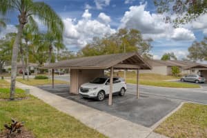 20 SYLVIA PLACE, OLDSMAR, FL 34677 - MLS#MFRTB8439639