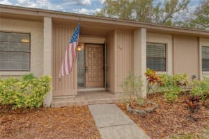 20 SYLVIA PLACE, OLDSMAR, FL 34677 - MLS#MFRTB8439639
