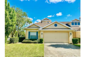 20307 W Oak Key Ct, TAMPA