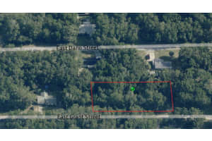 4053 GRANT STREET, INVERNESS, FL 34453 - MLS#MFRTB8439656