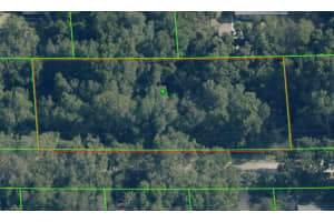 4053 GRANT STREET, INVERNESS, FL 34453 - MLS#MFRTB8439656