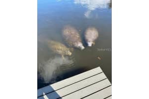 350 79TH AVENUE, ST PETERSBURG, FL 33702 - MLS#MFRTB8439660