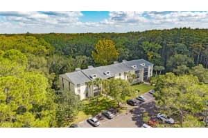 3232 LAKE PINE WAY, TARPON SPRINGS, FL 34688 - MLS#MFRTB8439669
