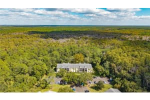 3232 LAKE PINE WAY, TARPON SPRINGS, FL 34688 - MLS#MFRTB8439669