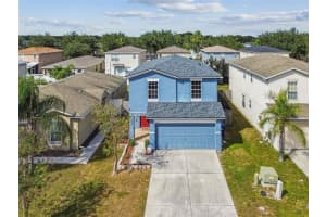 17347 Mint Leaf Ln, LAND O LAKES 17347 Mint Leaf Ln, LAND O LAKES