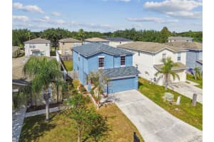 17347 MINT LEAF LANE, LAND O LAKES, FL 34638 - MLS#MFRTB8439671
