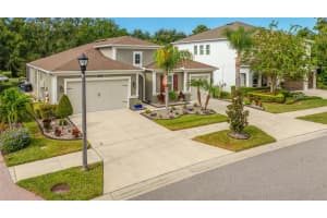 3546 WICKET FIELD ROAD, LUTZ, FL 33548 - MLS#MFRTB8439748