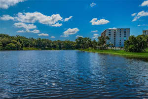 220 BELLEVIEW BOULEVARD, BELLEAIR, FL 33756 - MLS#MFRTB8439750