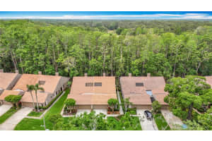 3182 WINDMOOR DRIVE, PALM HARBOR, FL 34685 - MLS#MFRTB8439777