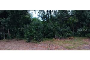 9408 BETHUNE DRIVE, THONOTOSASSA, FL 33592 - MLS#MFRTB8439797
