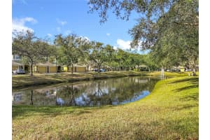 8123 STONE PATH WAY, TAMPA, FL 33647 - MLS#MFRTB8439815