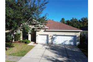 16318 BRIDGELAWN AVENUE, LITHIA, FL 33547 - MLS#MFRTB8439837