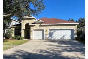 16318 BRIDGELAWN AVENUE, LITHIA, FL 33547 - MLS#MFRTB8439837