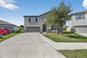 13503 WILD GINGER STREET, RIVERVIEW, FL 33579 - MLS#MFRTB8439849