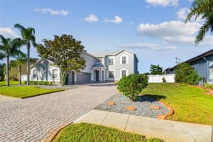 4603 WALNUT RIDGE ROAD, LAND O LAKES, FL 34638 - MLS#MFRTB8439862