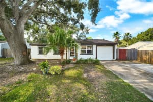 3042 Hanna Ct, PALM HARBOR