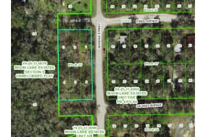 11021 MORENA STREET, NEW PORT RICHEY, FL 34654 - MLS#MFRTB8439885