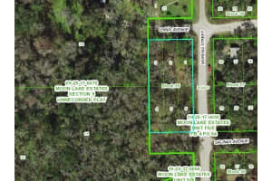 11021 MORENA STREET, NEW PORT RICHEY, FL 34654 - MLS#MFRTB8439885