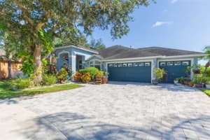 10022 Oxford Chapel Dr, TAMPA 10022 Oxford Chapel Dr, TAMPA