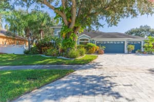 10022 OXFORD CHAPEL DRIVE, TAMPA, FL 33647 - MLS#MFRTB8439909