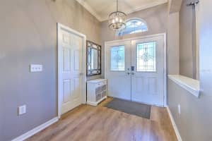 16112 BRIDGEDALE DRIVE, LITHIA, FL 33547 - MLS#MFRTB8439917