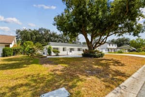 513 ROLLINGVIEW DRIVE, TEMPLE TERRACE, FL 33617 - MLS#MFRTB8439929